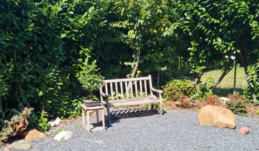Garten (2) der Deutschen Heilpraktikerschule Lüdinghausen