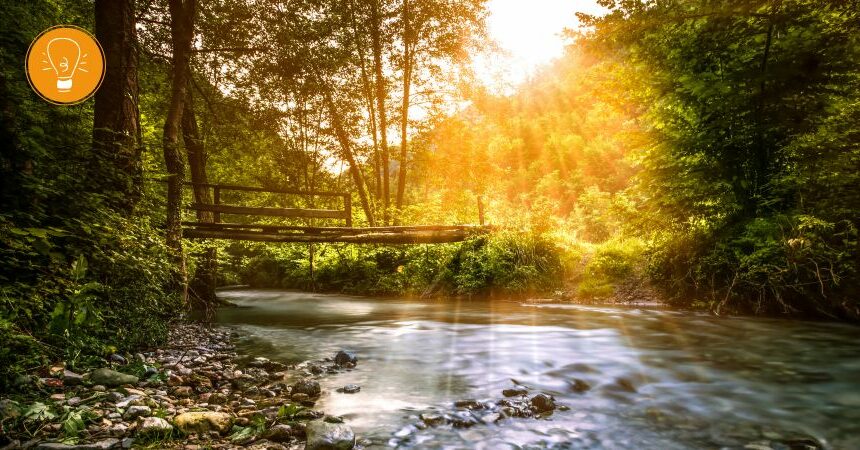 12 kostenlose Ärzte, die uns fit und gesund halten können – Teil 1:  Natur