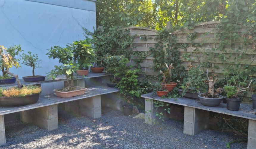 Garten der Deutschen Heilpraktikerschule Lüdinghausen