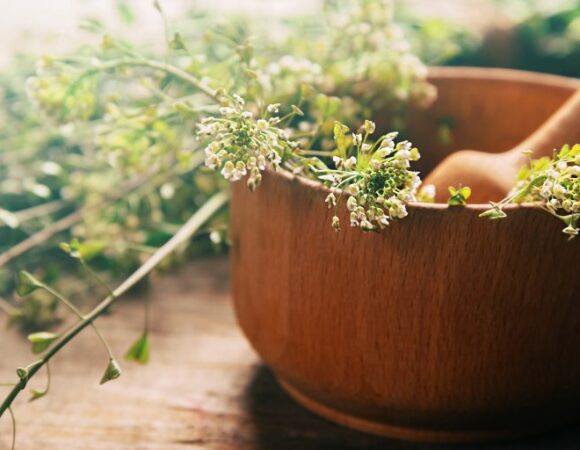 Weltgesundheitstag am 7. April