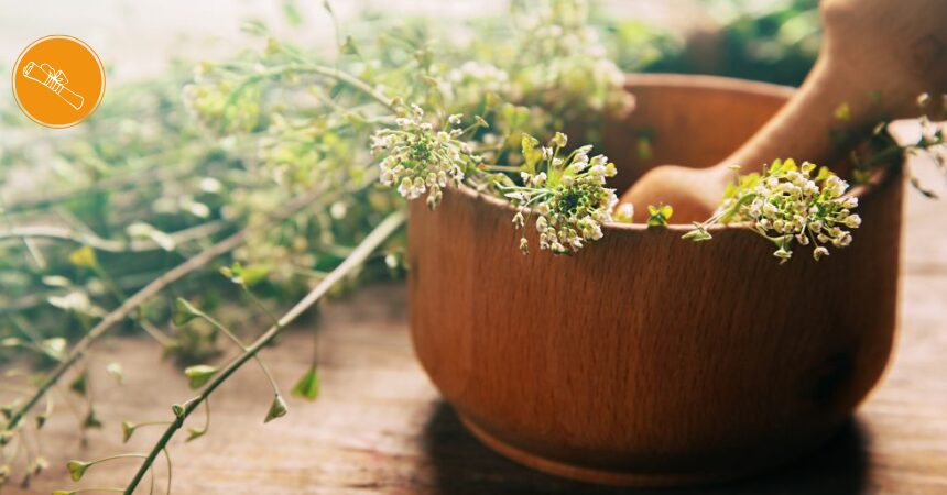 Ausbildung zum Ganzheitlichen Heilpraktiker im Präsenzunterricht Ausbildung zum Ganzheitlichen Heilpraktiker im Präsenzunterricht