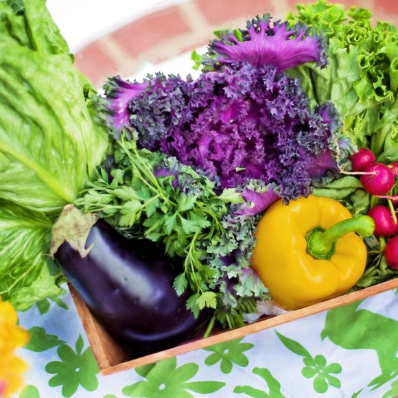 Weltvegantag I Ernährungsberatung im Fernlehrgang