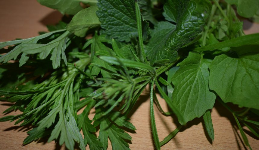Heimische Superfoods – warum in die Ferne schweifen …