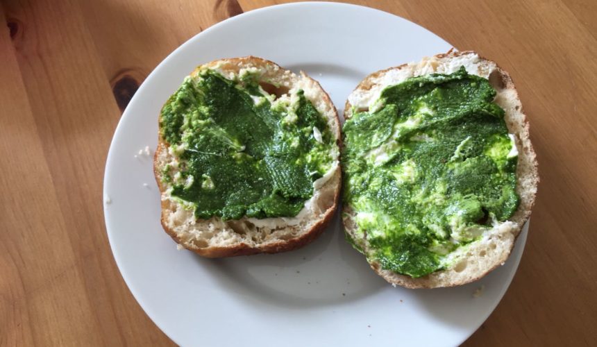 Bärlauchpesto – Brotaufstrich zum Selbstpflücken