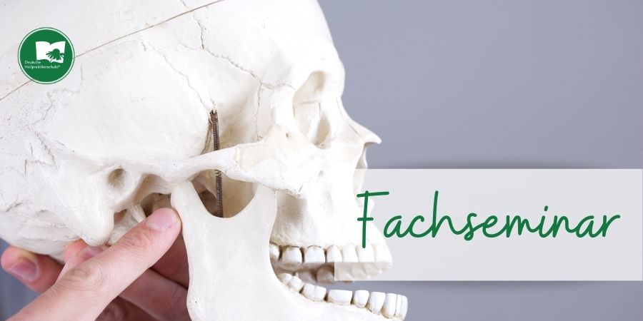Aschaffenburg – Fachseminar Kiefergelenk-Workshop