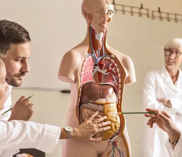 Ausbildung zum Heilpraktiker Naturheilkunde – fit für Ihren Praxisstart