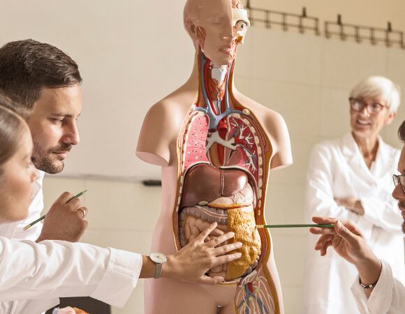 Ausbildung zum Heilpraktiker Naturheilkunde – fit für Ihren Praxisstart Ausbildung zum Heilpraktiker Naturheilkunde – fit für Ihren Praxisstart