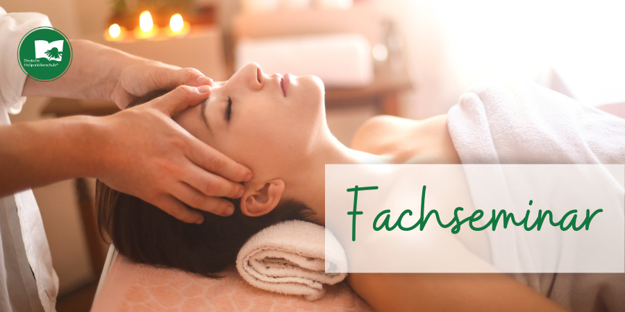 Berlin / Potsdam – Fachseminar Grundlagen Massagetechnik