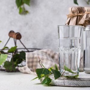 Die Birke – ideal für eine Frühjahrskur
