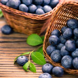 Blaubeere ‒ natürliche Unterstützung für Immunsystem und Verdauung Blaubeere ‒ natürliche Unterstützung für Immunsystem und Verdauung