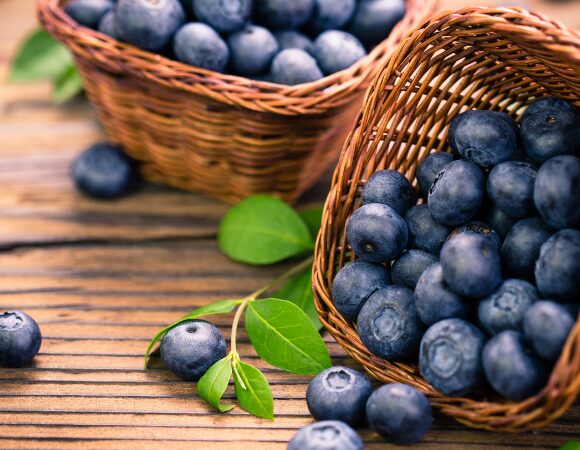 Blaubeere ‒ natürliche Unterstützung für Immunsystem und Verdauung