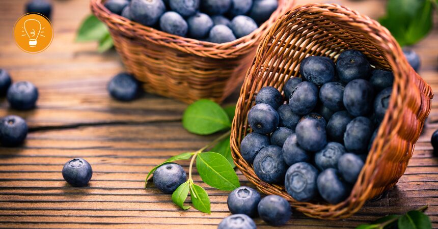 Blaubeere ‒ natürliche Unterstützung für Immunsystem und Verdauung Blaubeere ‒ natürliche Unterstützung für Immunsystem und Verdauung