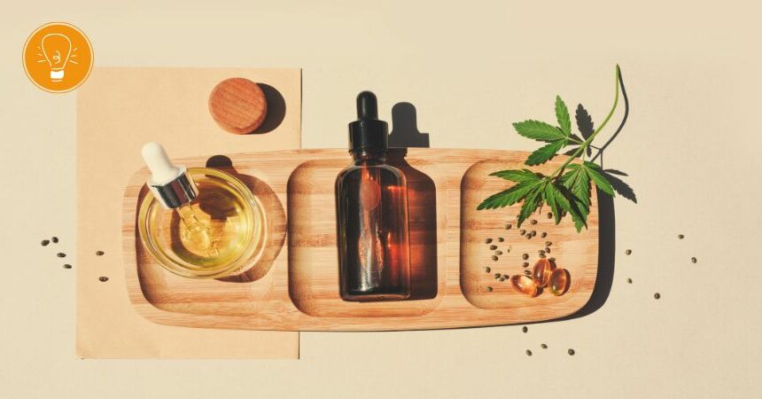 Cannabis – legal und egal? Cannabis – legal und egal?