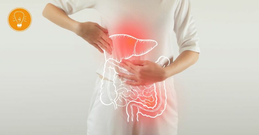 Darmgesundheit – einfache Tipps für eine gesunde Darmfunktion