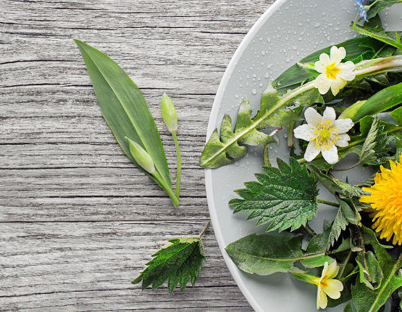 Detox mit Wildkräutern – frische Kraft aus der Natur im Frühling Detox mit Wildkräutern – frische Kraft aus der Natur im Frühling