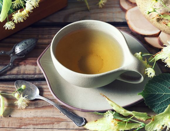 Die Linde – Heilpflanze des Jahres 2025