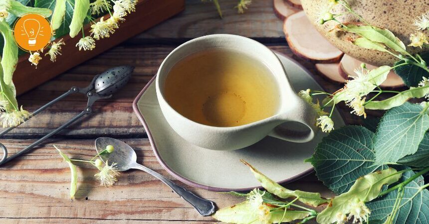 Die Linde – Heilpflanze des Jahres 2025