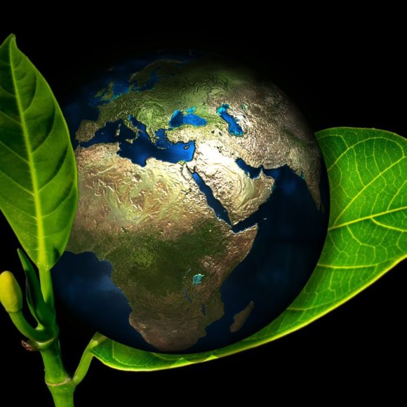 Tag der Erde – Earth Day am 22. April
