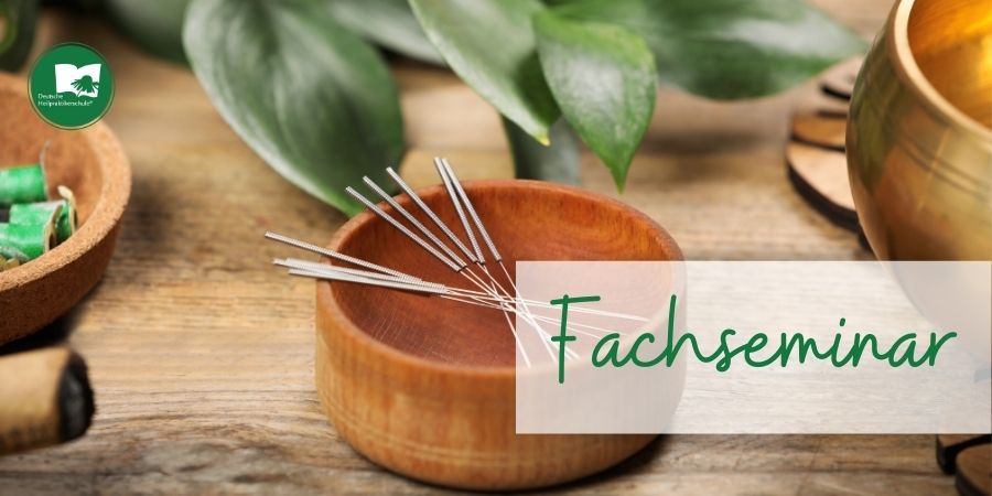 Eschwege – Fachseminar Grundkurs Ohrakupunktur