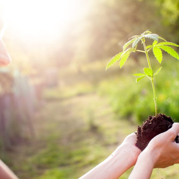 Wir pflanzen für jede Anmeldung einen Baum!