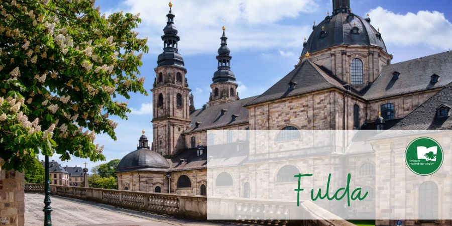 Fulda - Header