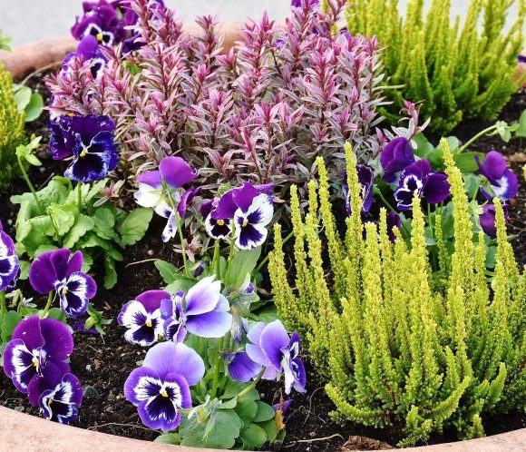 Was ist eigentlich Gartentherapie?