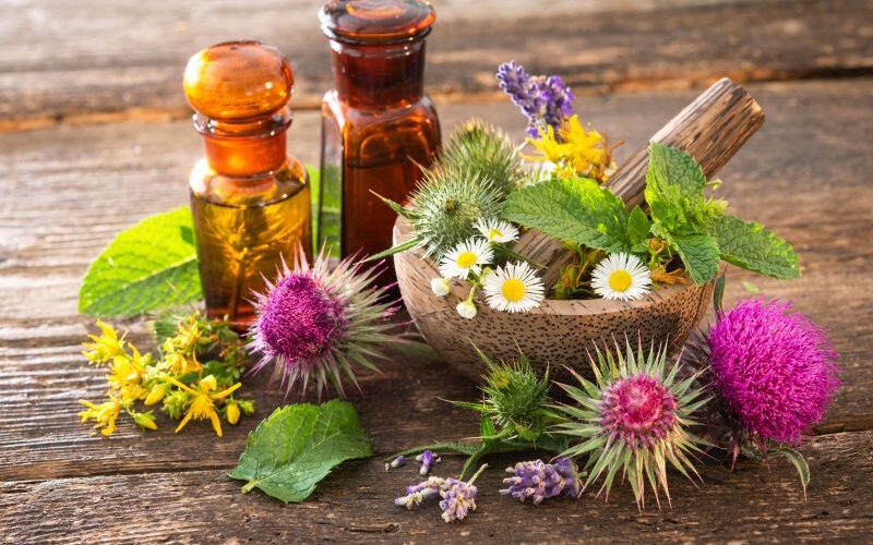 Ausbildung zum Heilpraktiker für Naturheilkunde im Fernlehrgang
