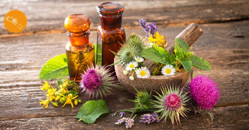 Ausbildung zum Heilpraktiker für Naturheilkunde im Fernlehrgang Ausbildung zum Heilpraktiker für Naturheilkunde im Fernlehrgang