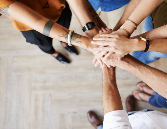 Hospitation beim Verein Naturheilpraxis ohne Grenzen e.V. – ein Erfahrungsbericht