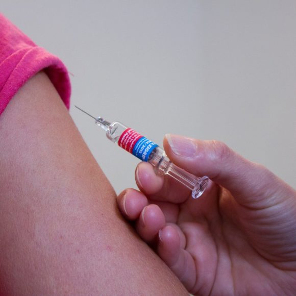 Checkup Anatomie: Die Schulter