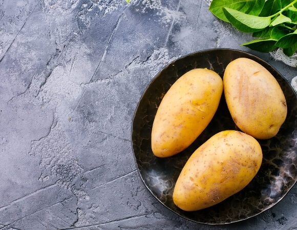 Kartoffel – die Giftpflanze 2022 │Gift- oder Heilpflanze?