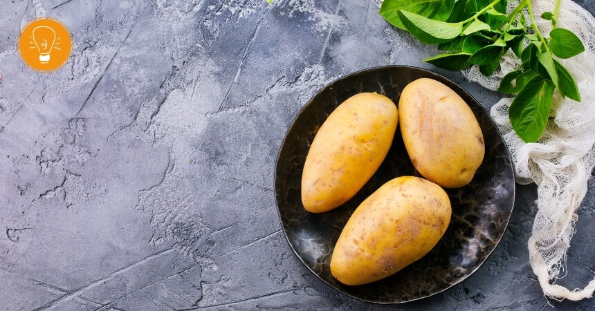 Kartoffel – die Giftpflanze 2022 │Gift- oder Heilpflanze?