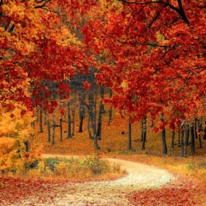 Leben mit den Jahreszeiten ‒ Herbst