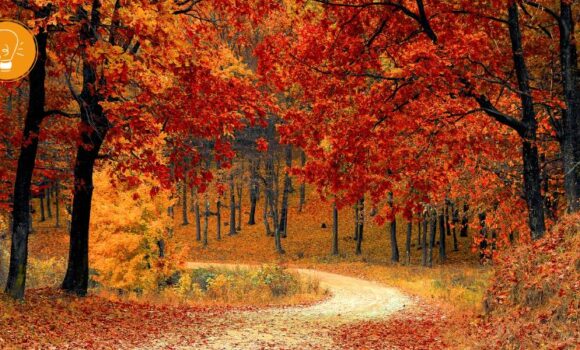 Leben mit den Jahreszeiten ‒ Herbst