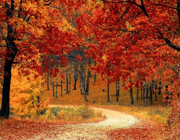 Leben mit den Jahreszeiten ‒ Herbst Leben mit den Jahreszeiten ‒ Herbst