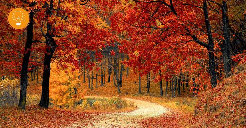 Leben mit den Jahreszeiten ‒ Herbst Leben mit den Jahreszeiten ‒ Herbst