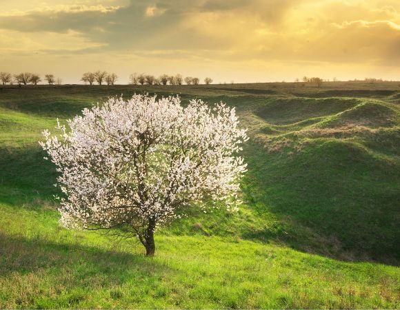 Leben mit den Jahreszeiten – Frühling