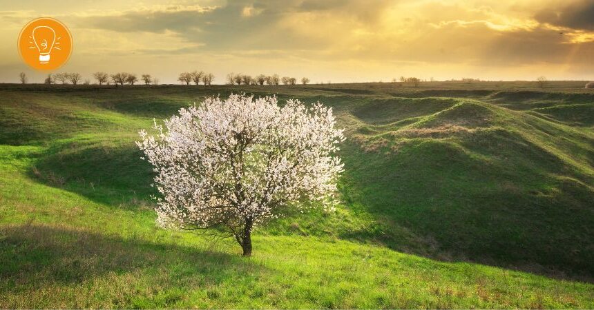 Leben mit den Jahreszeiten – Frühling Leben mit den Jahreszeiten – Frühling