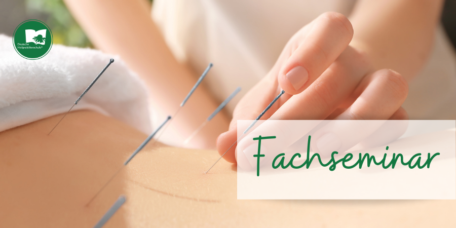 Leipzig – Fachseminar Körperakupunktur