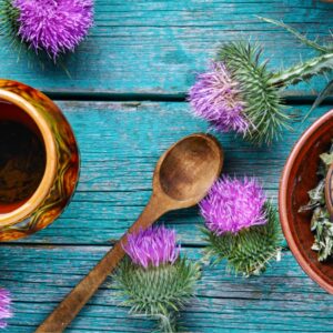 Mariendistel – ein Segen für die Leber Mariendistel – ein Segen für die Leber