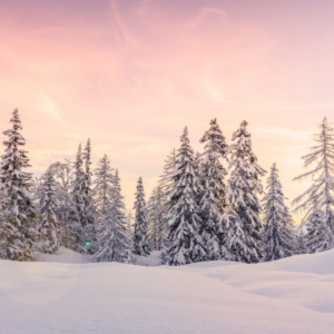 Mit den Jahreszeiten leben – Winter