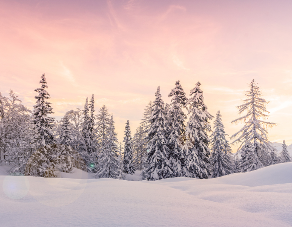 Mit den Jahreszeiten leben – Winter Mit den Jahreszeiten leben – Winter