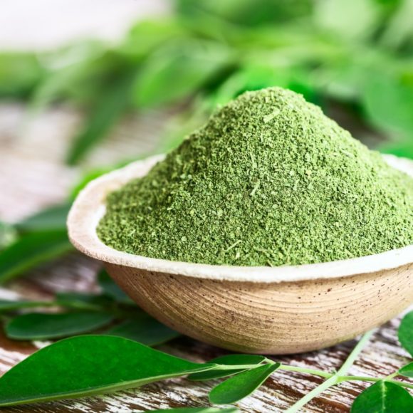 Moringa – der Wunderbaum