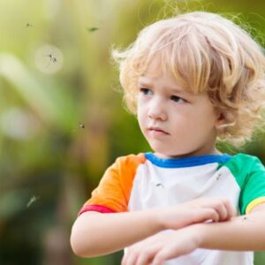 Mückenschutz zuhause und auf Reisen – einfache Maßnahmen gegen lästige Mückenstiche