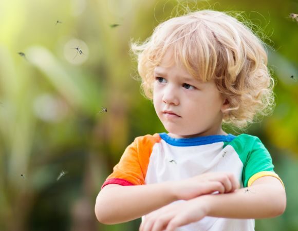 Mückenschutz zuhause und auf Reisen – einfache Maßnahmen gegen lästige Mückenstiche