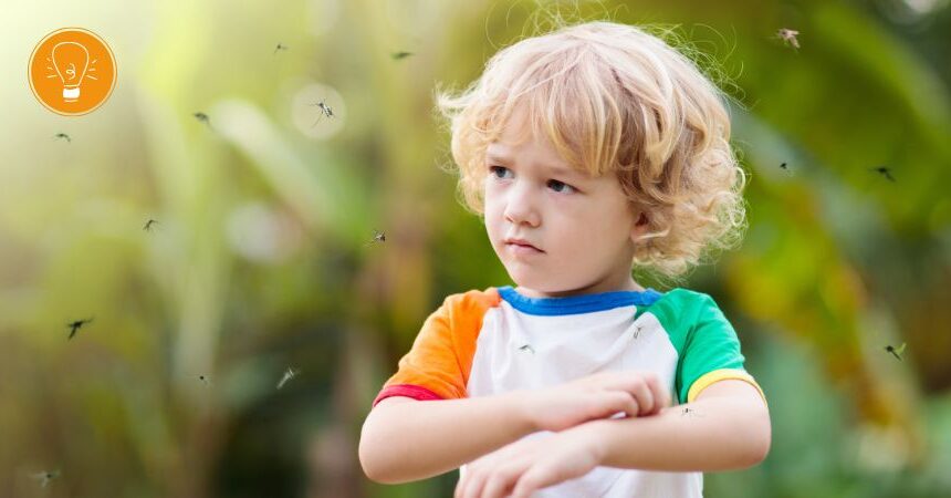 Mückenschutz zuhause und auf Reisen – einfache Maßnahmen gegen lästige Mückenstiche Mückenschutz zuhause und auf Reisen – einfache Maßnahmen gegen lästige Mückenstiche