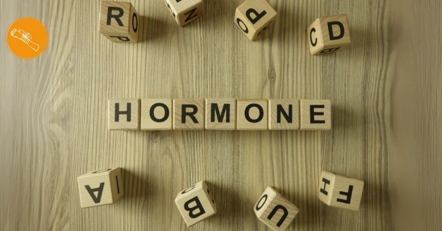 Online-Ausbildung zum Hormoncoach