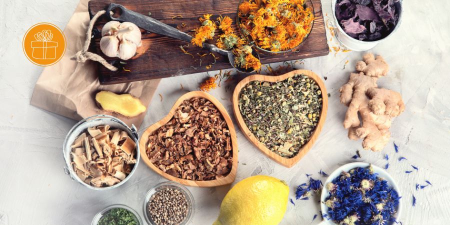 Online-Veranstaltung Die pflanzliche Haus- und Reiseapotheke