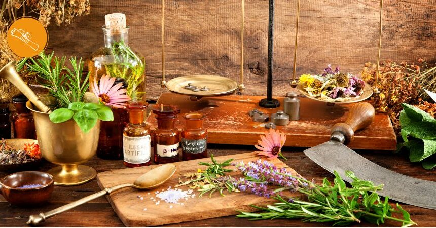 Online-Ausbildung Phytotherapie