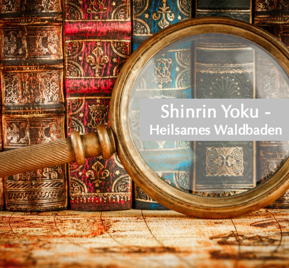 Buchvorstellung: Shinrin Yoku – Heilsames Waldbaden